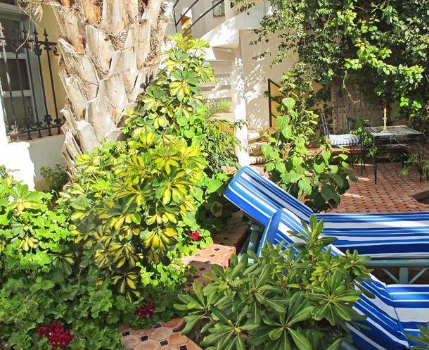 Maison Des Palmiers Essaouira Exteriör bild